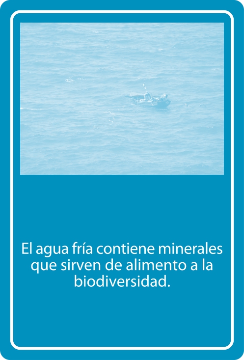 Portada Reverso